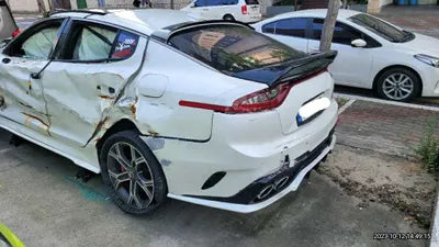 2020 Kia Stinger KNAE751CDLS076665 VIN:KNAE751CDLS076665