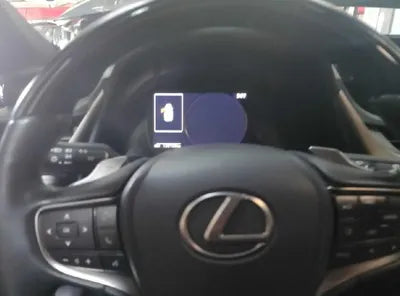 2019 Lexus ES 300 JTHB21B11K2015398 VIN:JTHB21B11K2015398