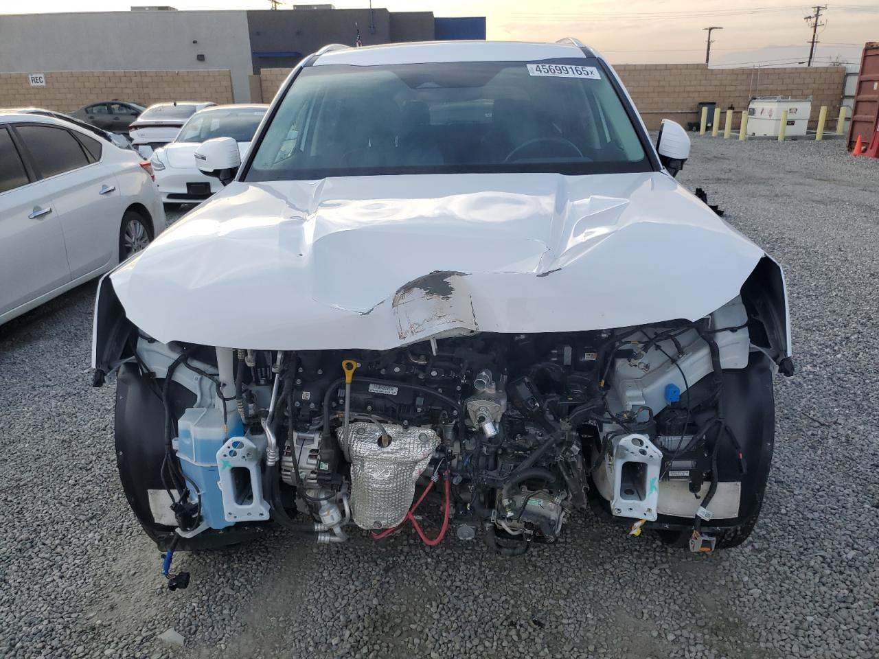 2024 KIA TELLURIDE SX VIN:5XYP5DGC2RG412872