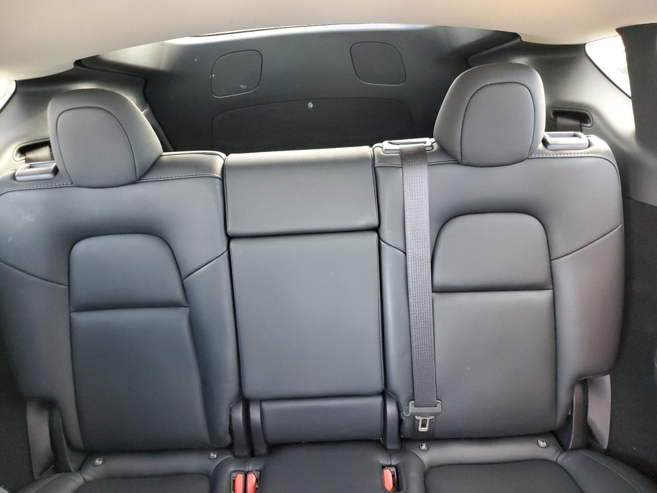 2023 TESLA MODEL Y  VIN:7SAYGDEFXPF850123