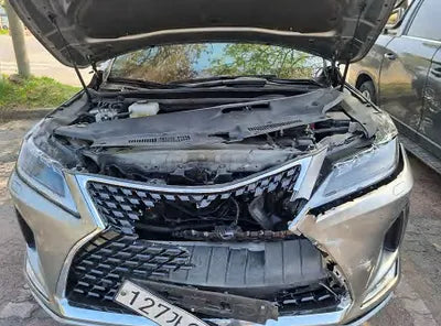 2020 Lexus RX 450 JTJBGMCA0L2061659 VIN:JTJBGMCA0L2061659