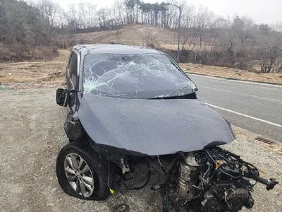 2017 Kia Carnival VIN: