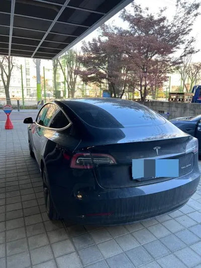 2020 Tesla Model 3 VIN: