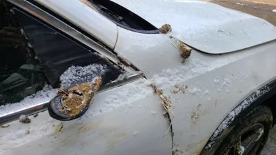 2021 Mercedes-Benz B 250 W1N4M4HB4MW101928 VIN:W1N4M4HB4MW101928