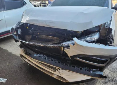 2020 Hyundai Kona KMHK381EGLU028060 VIN:KMHK381EGLU028060