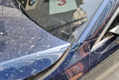 2020 BMW 520 WBAJF5107LCE66980 VIN:WBAJF5107LCE66980