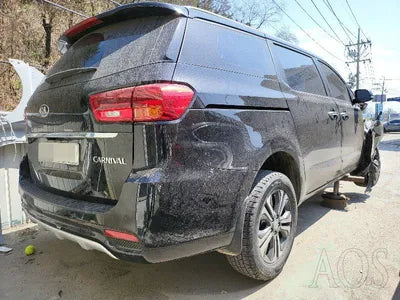 2020 Kia Carnival KNAMB81ABLS655175 VIN:KNAMB81ABLS655175