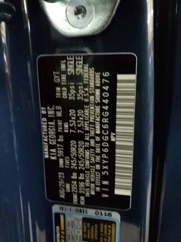 2024 KIA TELLURIDE S VIN:5XYP6DGC6RG440476