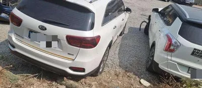 2019 Kia Sorento KNAPS81BBLA564800 VIN:KNAPS81BBLA564800