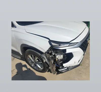 2019 Hyundai Santa FE KMHS281CBKU107302 VIN:KMHS281CBKU107302