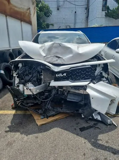 2022 Kia Sorento KNARG81GBNA101511 VIN:KNARG81GBNA101511