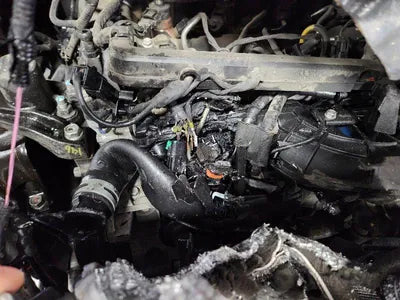 2020 Hyundai Santa FE 1KMHS281BBLU28875 VIN:1KMHS281BBLU28875