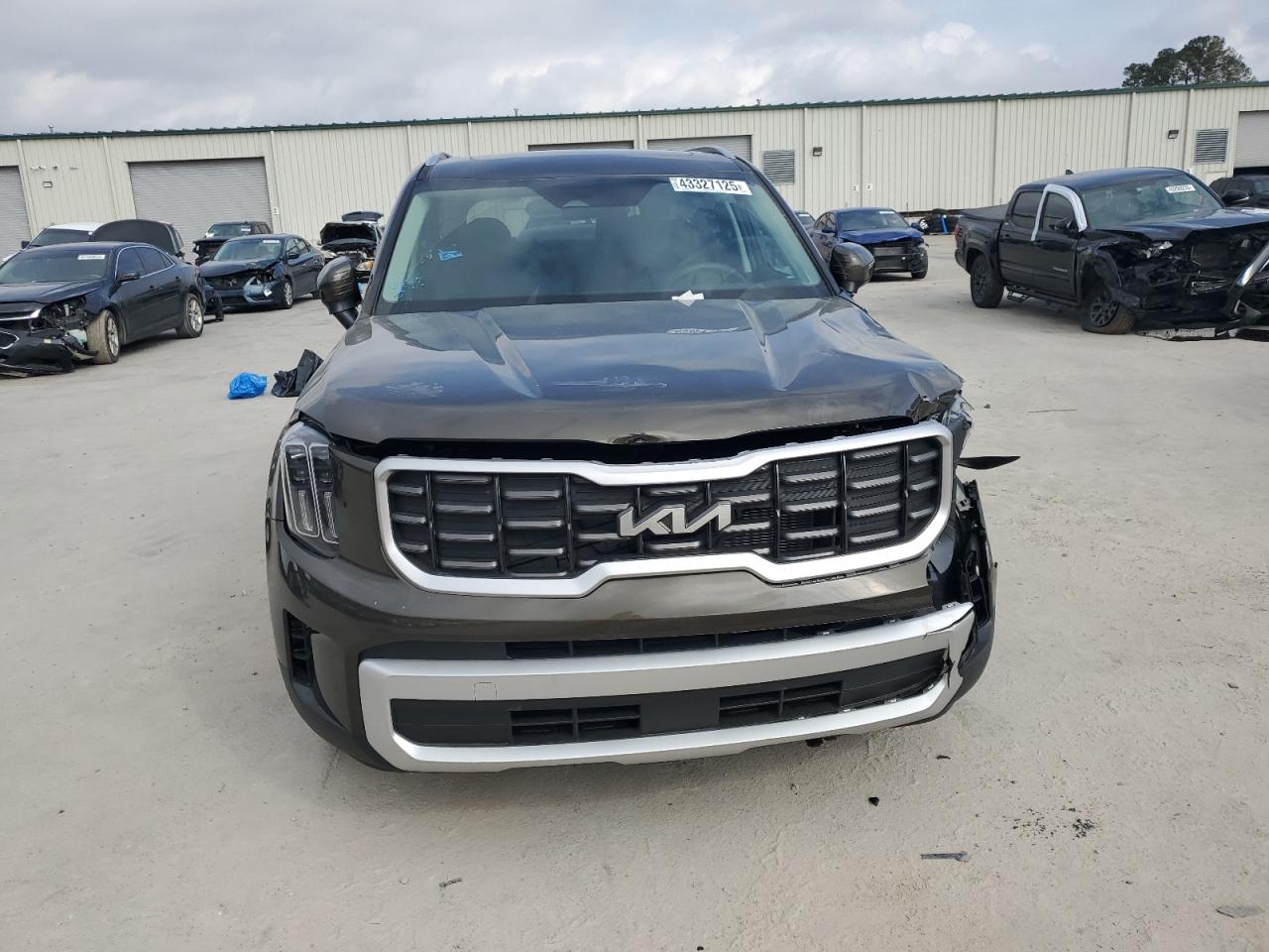 2024 KIA TELLURIDE S VIN:5XYP64GC0RG557762
