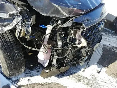 2018 Hyundai Santa FE KMHS381BBKU070833 VIN:KMHS381BBKU070833