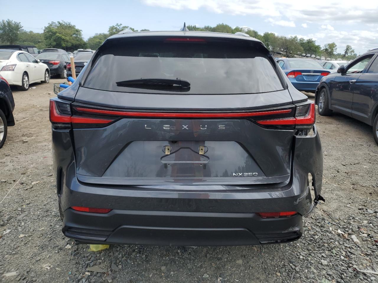 2022 LEXUS NX 250 VIN:2T2GDCAZ9NC002873