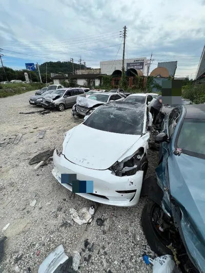 2020 Tesla Model 3 5YJ3E1EA0LF774759 VIN:5YJ3E1EA0LF774759
