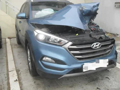 2016 Hyundai Tucson KMHJ3815GGU156350 VIN:KMHJ3815GGU156350