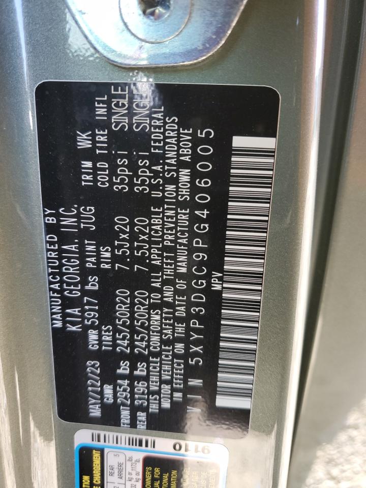 2023 KIA TELLURIDE EX VIN:5XYP3DGC9PG406005