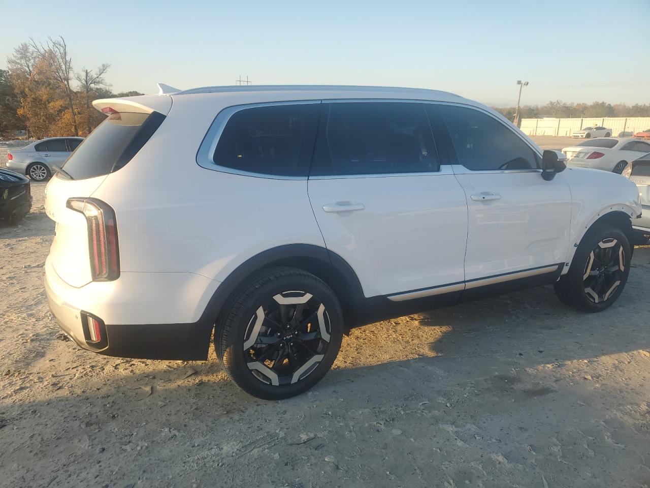 2024 KIA TELLURIDE EX VIN:5XYP34GC8RG475156