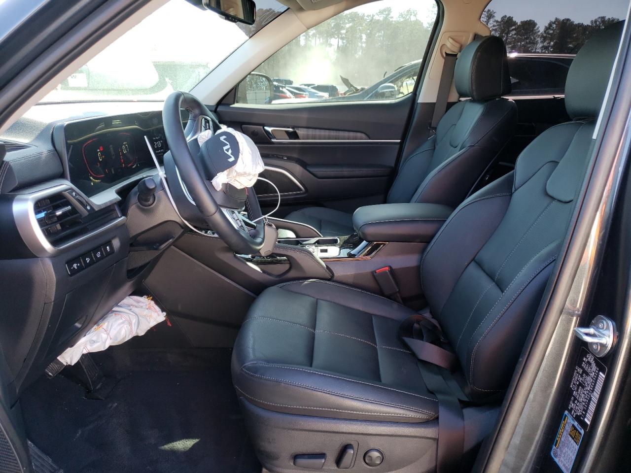 2024 KIA TELLURIDE EX VIN:5XYP3DGC8RG556240