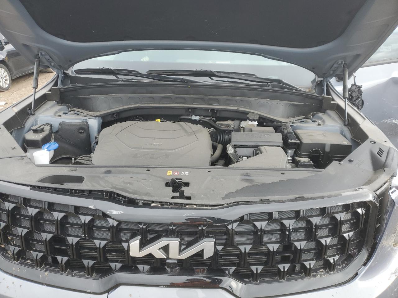 2024 KIA TELLURIDE SX VIN:5XYP5DGC0RG441433