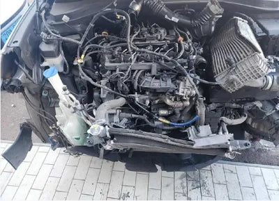 2019 Hyundai Santa FE KMHS281BBKU066495 VIN:KMHS281BBKU066495