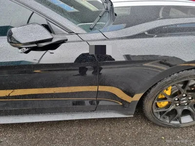 2019 Ford Mustang VIN: