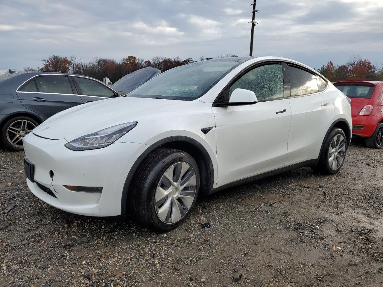 2022 TESLA MODEL Y  VIN:7SAYGDEE6NA019848