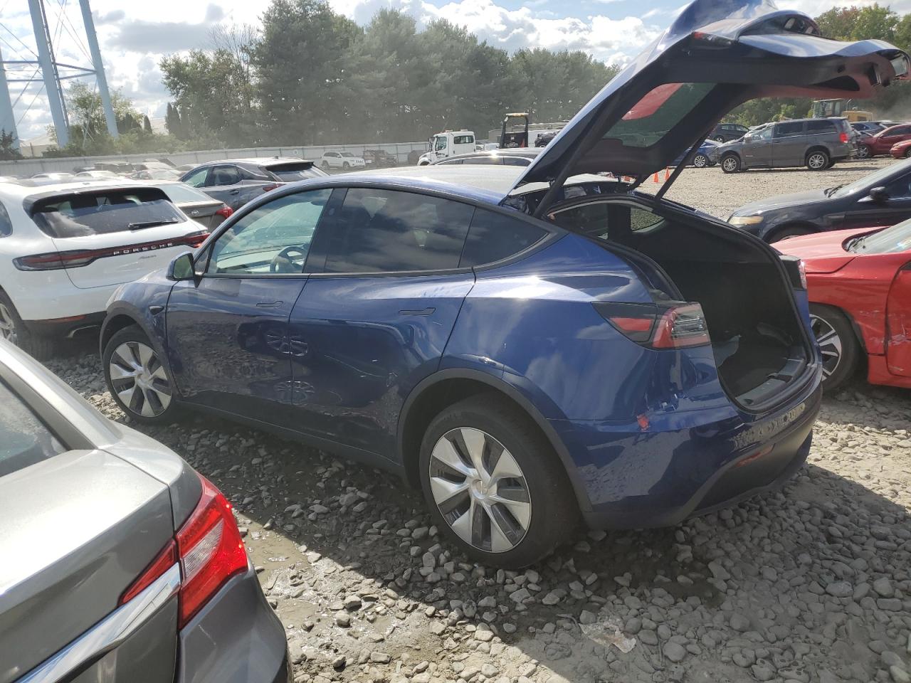 2024 TESLA MODEL Y  VIN:7SAYGDEE6RF076687