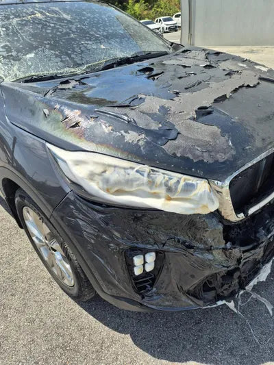 2017 Kia Sorento KNAPS81BBJA419260 VIN:KNAPS81BBJA419260