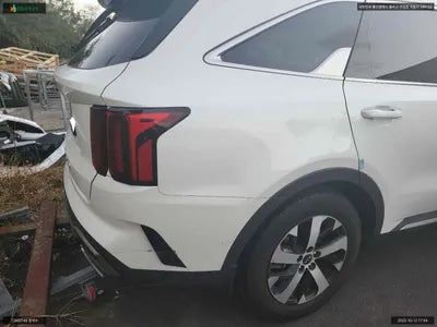 2021 Kia Sorento KNARF81BGMA095607 VIN:KNARF81BGMA095607