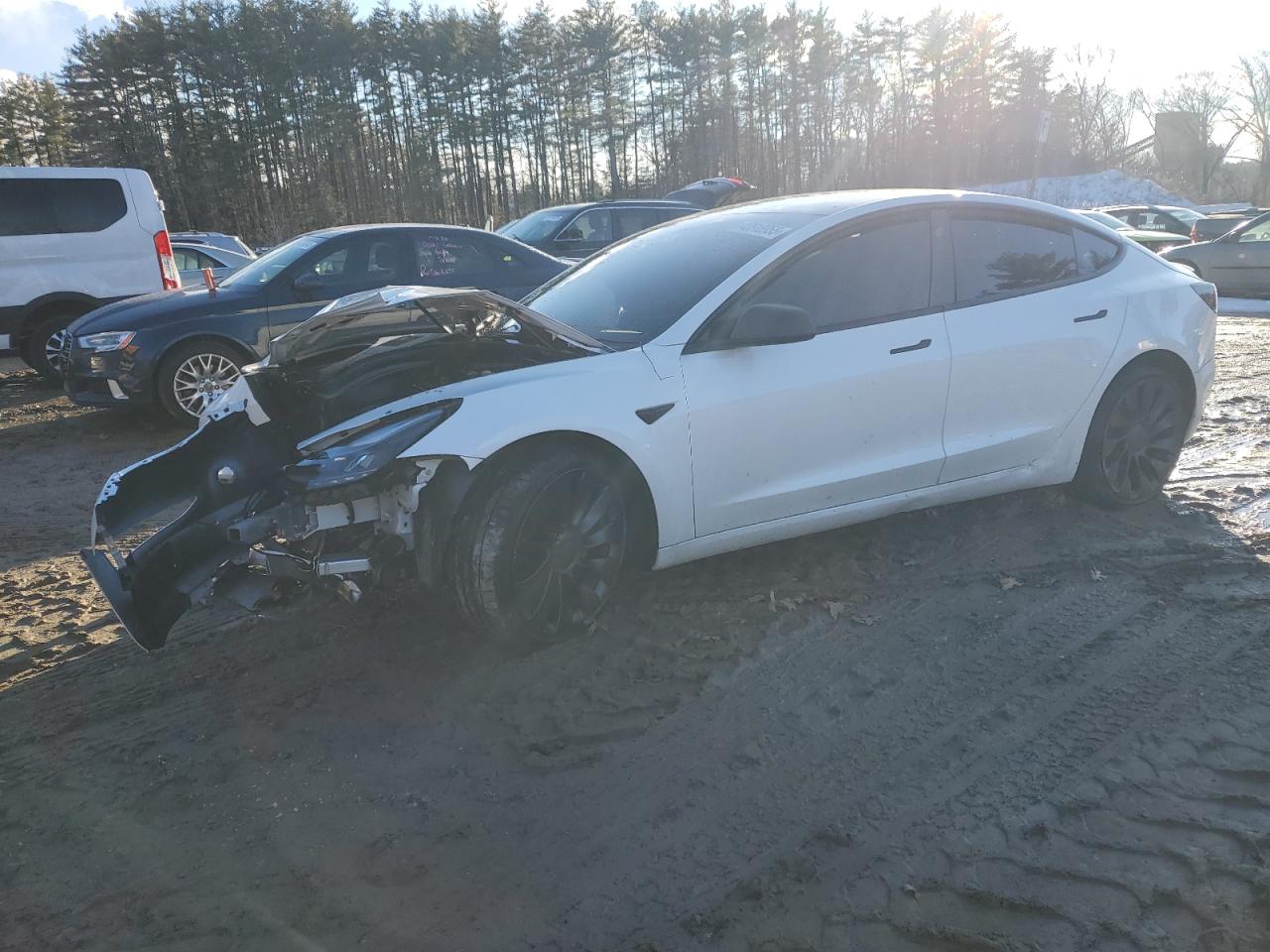 2023 TESLA MODEL 3  VIN:5YJ3E1EC8PF502757