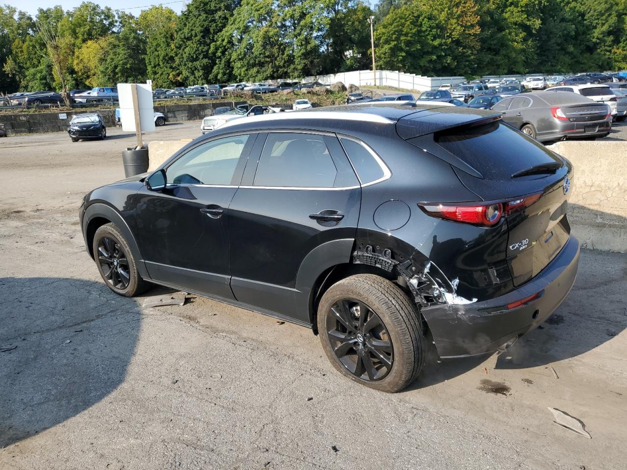 2023 MAZDA CX-30 PREMIUM PLUS VIN:3MVDMBEY9PM535205