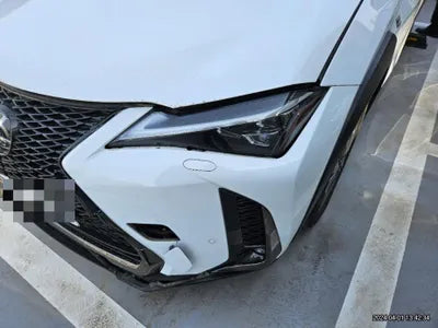 2020 Lexus UX 250 VIN: