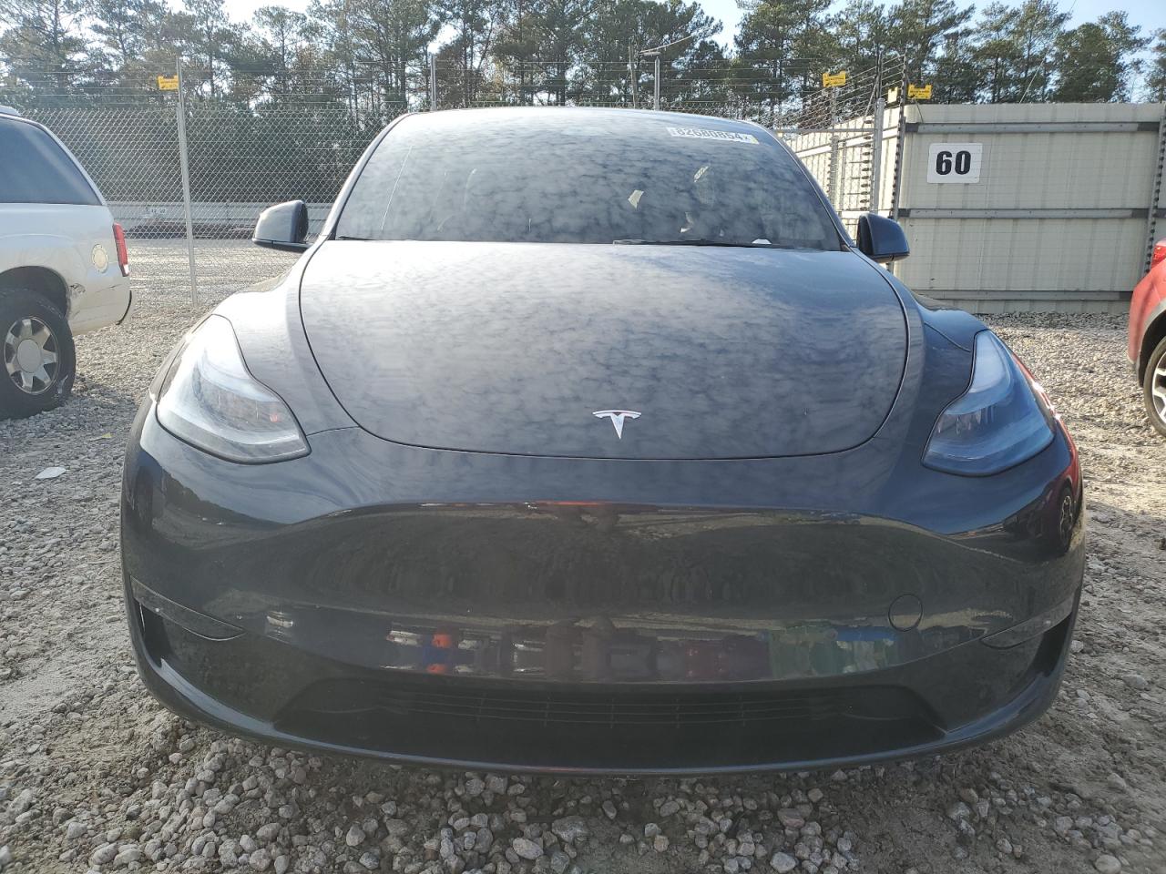 2024 TESLA MODEL Y  VIN:7SAYGDEF3RA323556