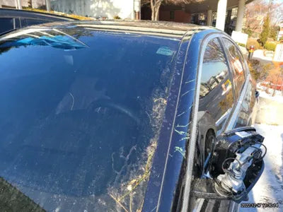 2023 BMW 530 WBA31BJ03PCL22545 VIN:WBA31BJ03PCL22545