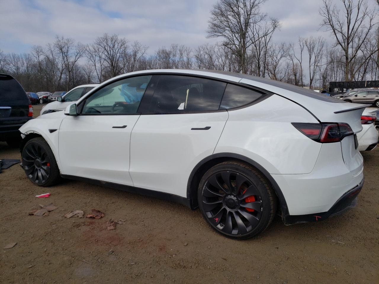 2023 TESLA MODEL Y  VIN:7SAYGDEFXPF855628