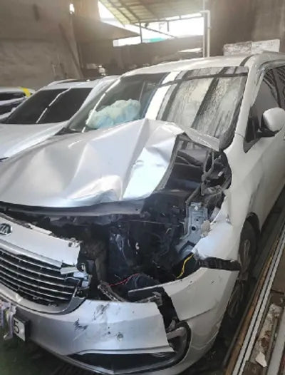 2016 Kia Carnival KNAMB81ABGS106622 VIN:KNAMB81ABGS106622