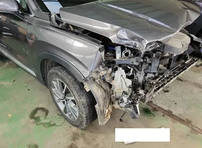 2020 Hyundai Santa FE KMHS281BBLU285246 VIN:KMHS281BBLU285246