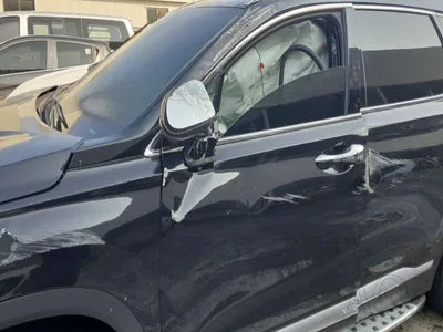 2021 Hyundai Santa FE KMHS381HHMU319369 VIN:KMHS381HHMU319369