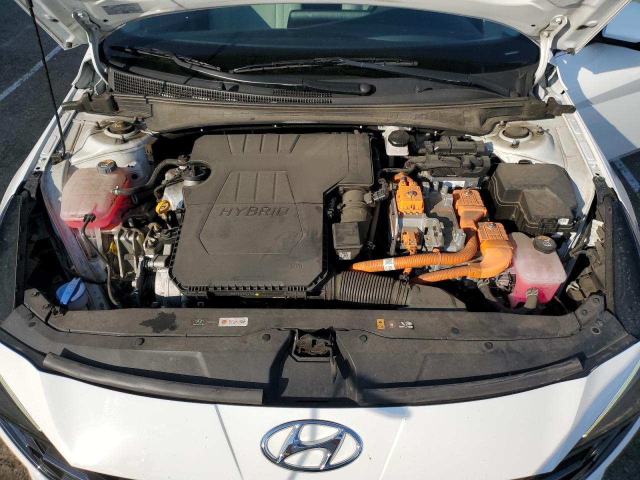 2023 HYUNDAI ELANTRA LIMITED VIN:KMHLN4AJ9PU063917