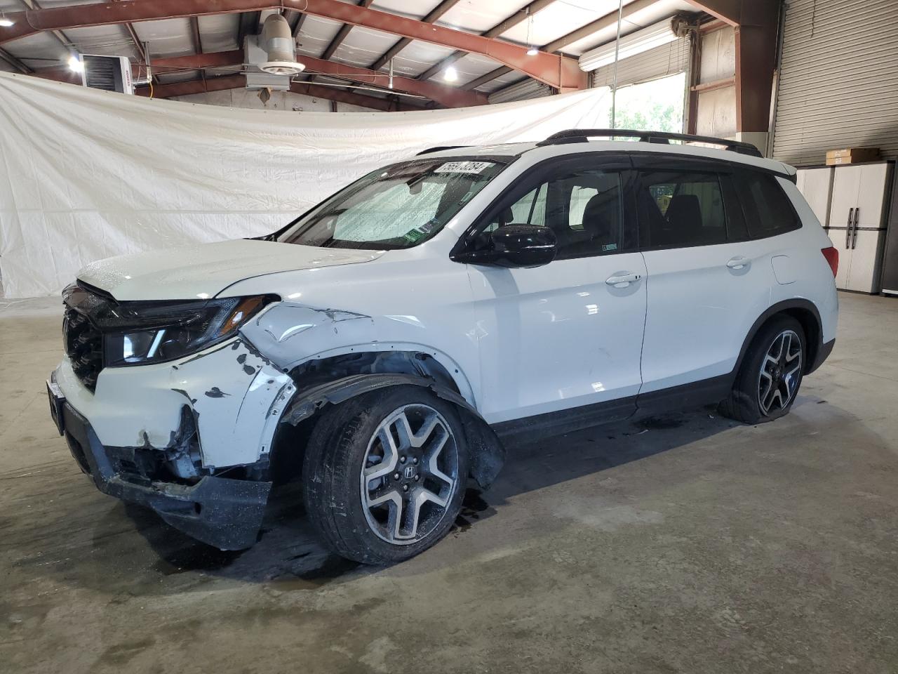 2023 HONDA PASSPORT ELITE VIN:5FNYF8H09PB010588