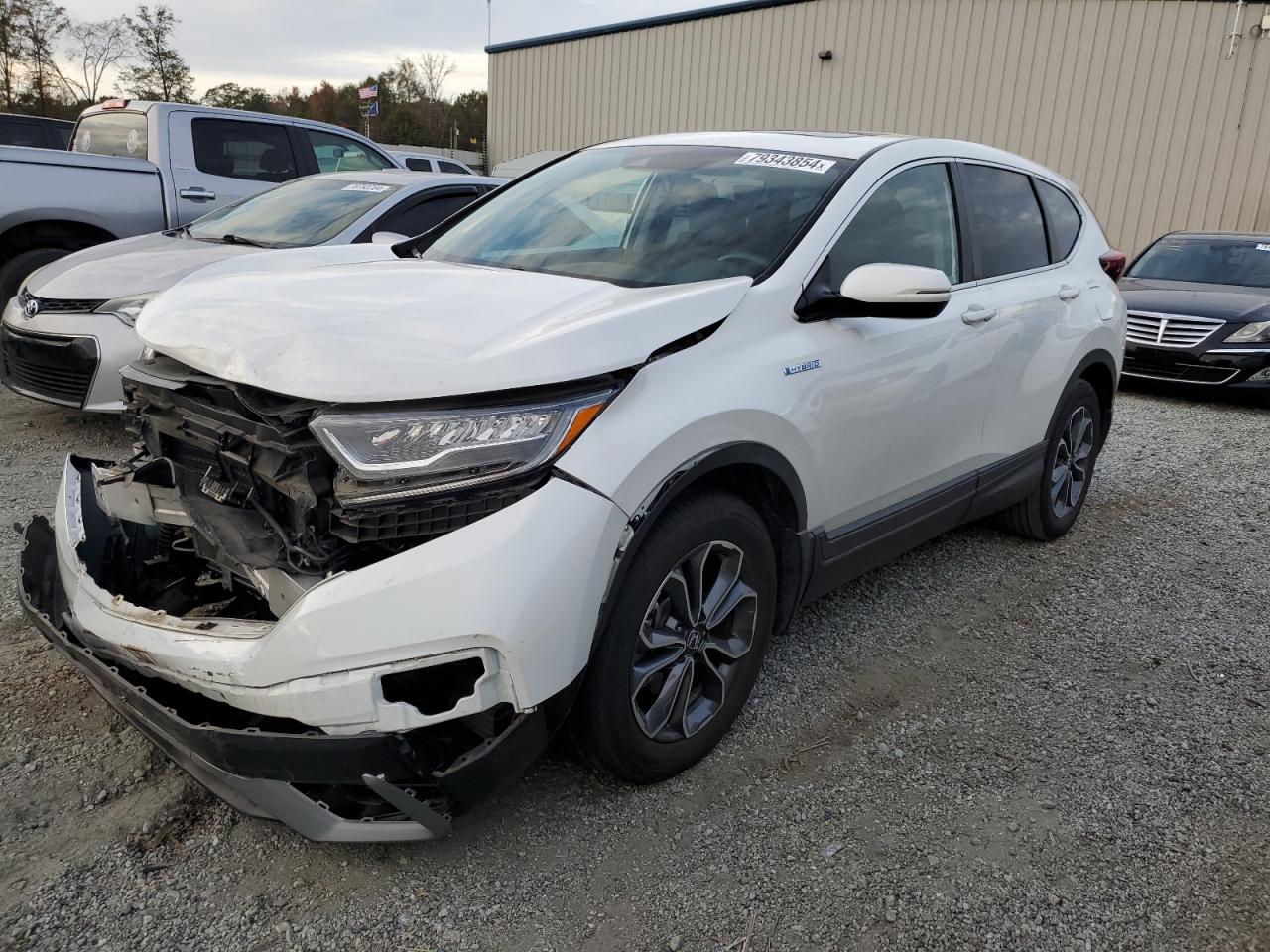 2022 HONDA CR-V EXL VIN:5J6RT6H81NL037683