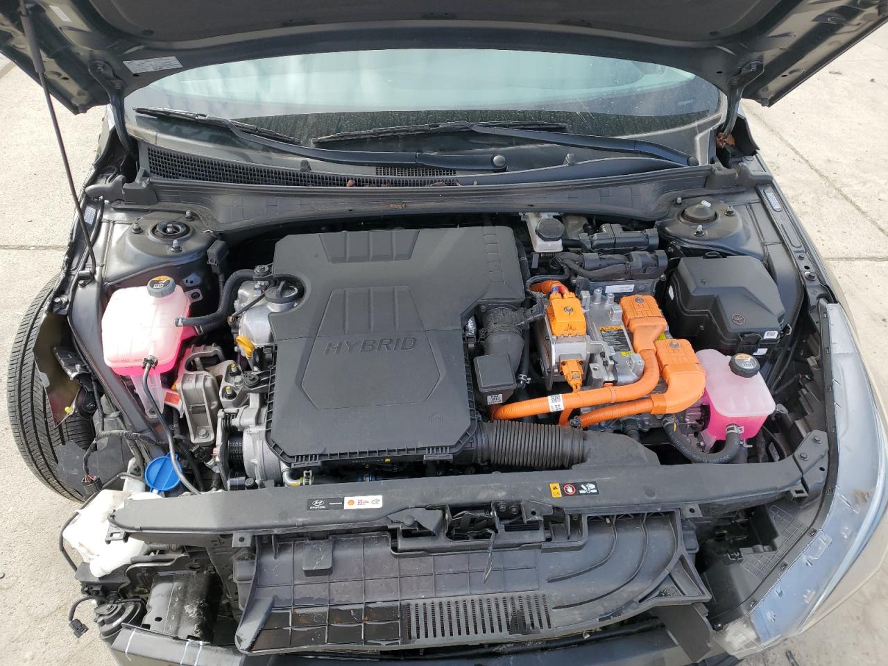 2023 HYUNDAI ELANTRA BLUE VIN:KMHLM4AJ2PU052373