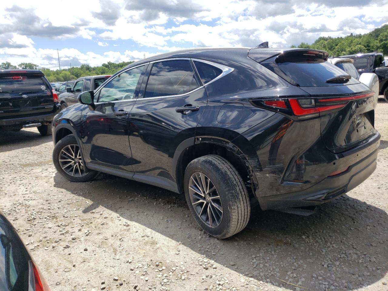 2023 LEXUS NX 350 VIN:2T2GGCEZ6PC029954