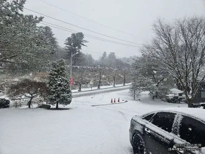 2016 Audi 50 878KMWAUZZZ4G2GN0 VIN:878KMWAUZZZ4G2GN0