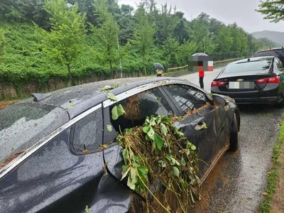 2017 Kia K5 654KMKNAGU411BHA1 VIN:654KMKNAGU411BHA1