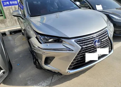 2018 Lexus NX 300 JTJBJRBZ4J2079570 VIN:JTJBJRBZ4J2079570