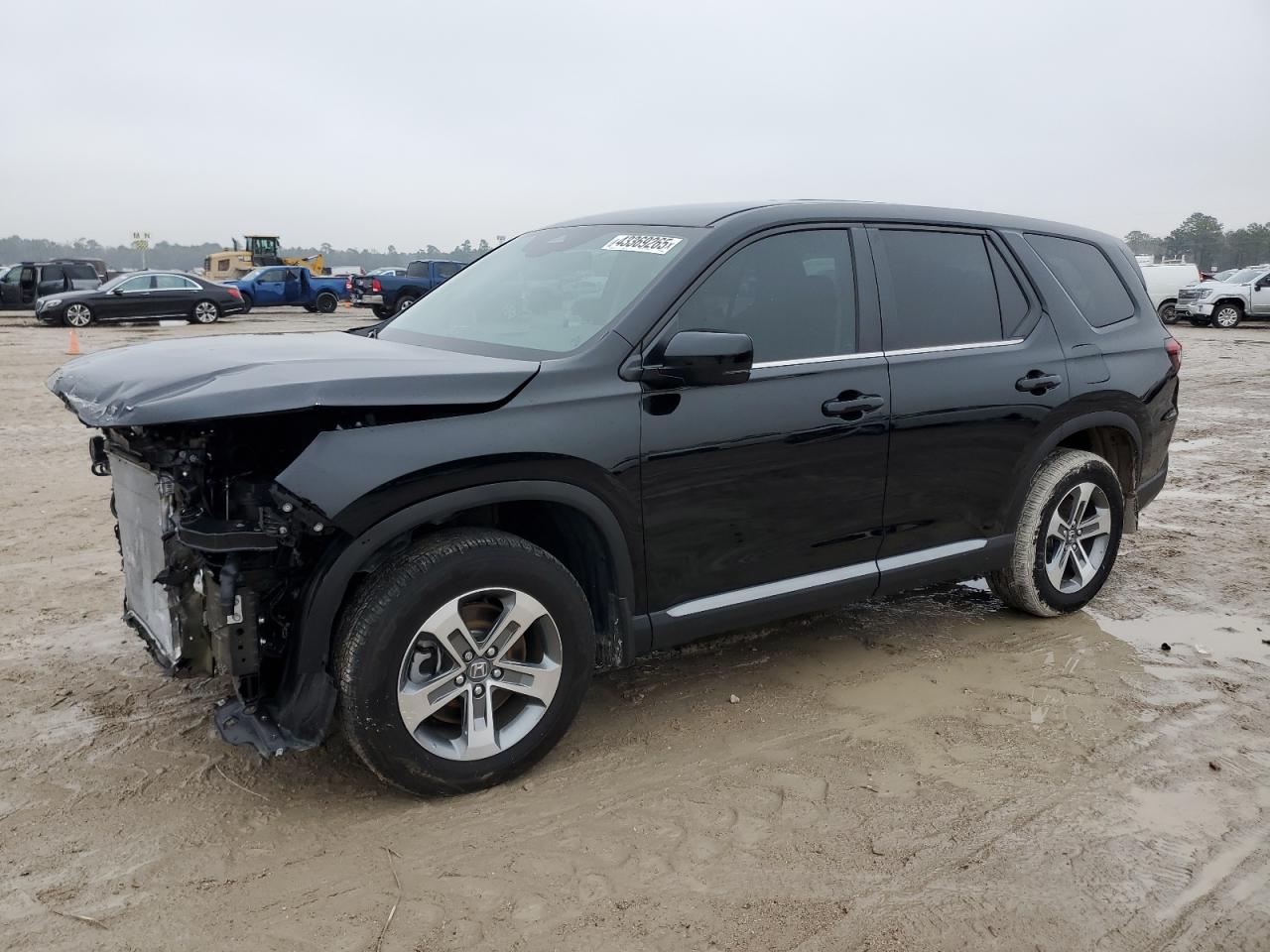 2024 HONDA PILOT EXL VIN:5FNYG2H51RB008049
