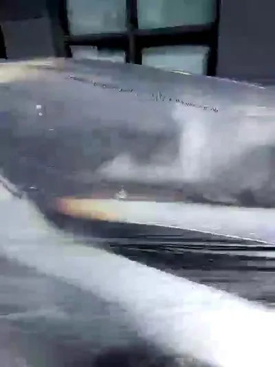 2015 BMW 528 WBA5A5105FGT89973 VIN:WBA5A5105FGT89973